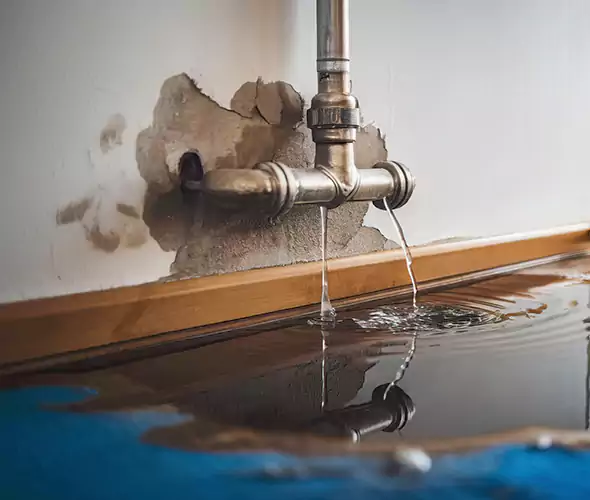 Professional Water Damage Restoration Experts in Gadsden, AL — Fast, Reliable & Certified